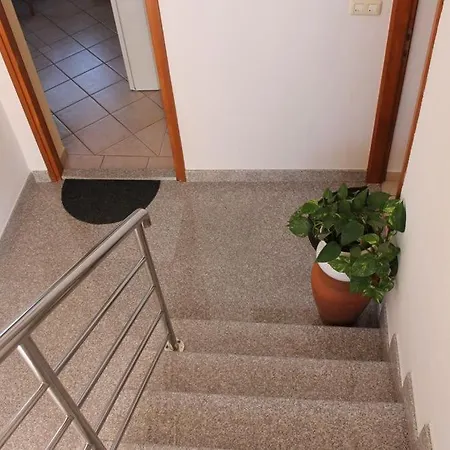 Appartement In With Sea View, Terrace, Air Conditioning, Wi-fi Ždrelac